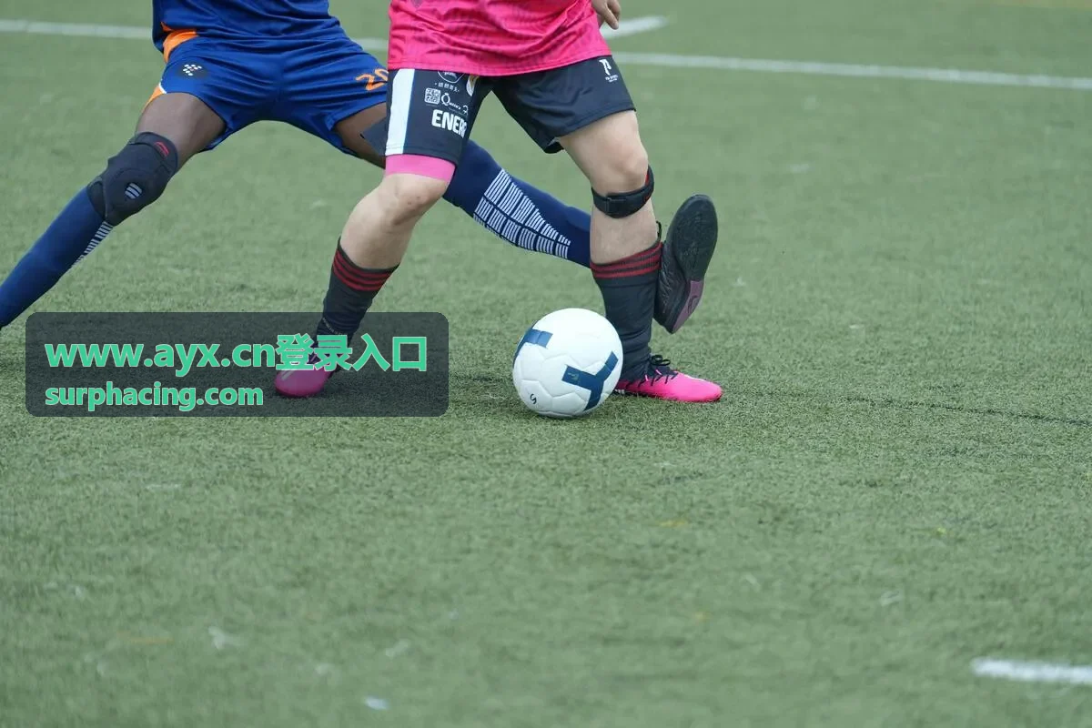 登录入口操作日志与审计记录示意