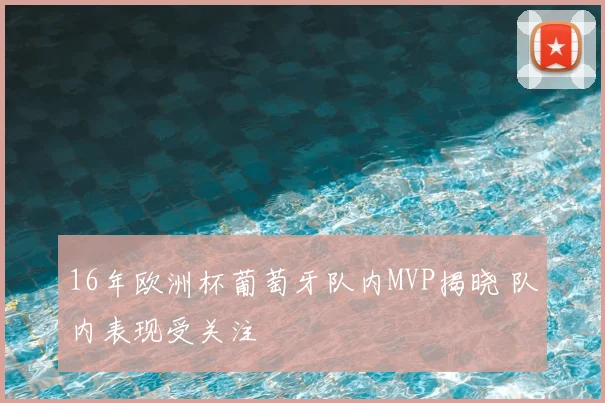 16年欧洲杯葡萄牙队内MVP揭晓 队内表现受关注