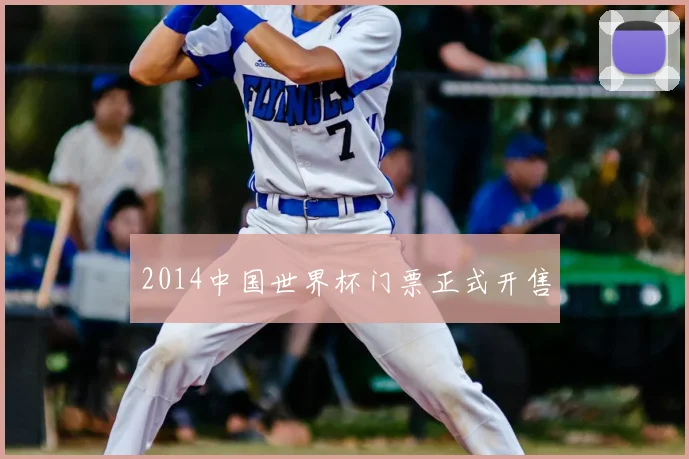 2014中国世界杯门票正式开售