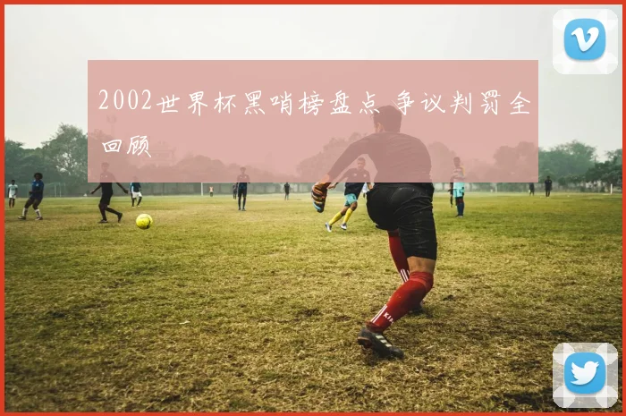 2002世界杯黑哨榜盘点 争议判罚全回顾