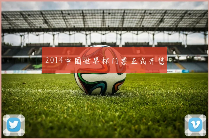 2014中国世界杯门票正式开售